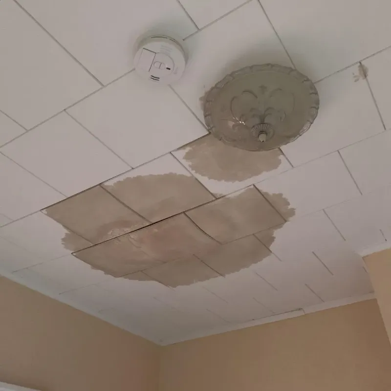 Ceiling Water Damage Repair in Jefferson, LA